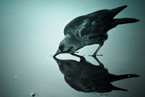 Can you Murder a Novel? Part 1